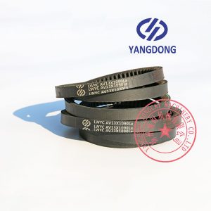Yangdong YD480D engine belt