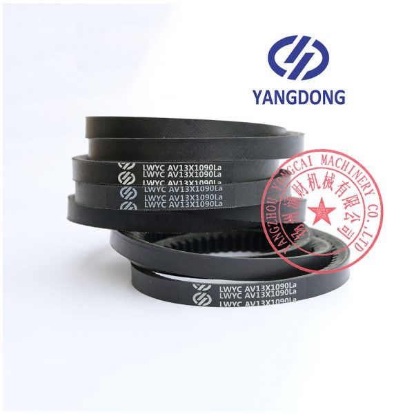 Yangdong YD480D engine belt -3
