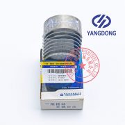 Yangdong Y4102ZLD connecting rod bearings -4