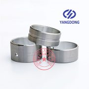 Yangdong Y4102D camshaft bushing -1