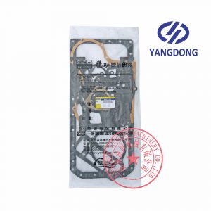 Yangdong Y4102ZLD engine overhaul gasket kit