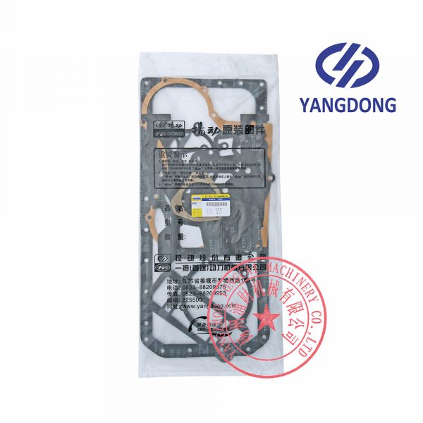 Yangdong Y4102ZLD engine overhaul gasket kit -2