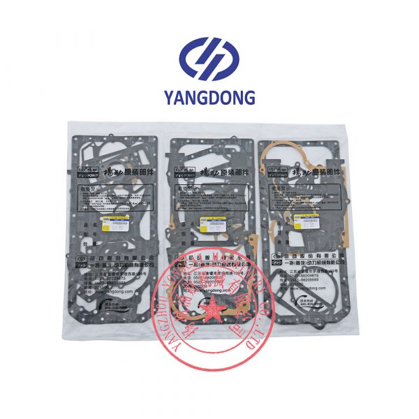 Yangdong Y4102ZLD engine overhaul gasket kit -4
