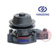 Yangdong Y490D engine water pump -1