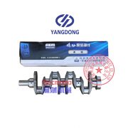 Yangdong Y495D engine crankshaft -1